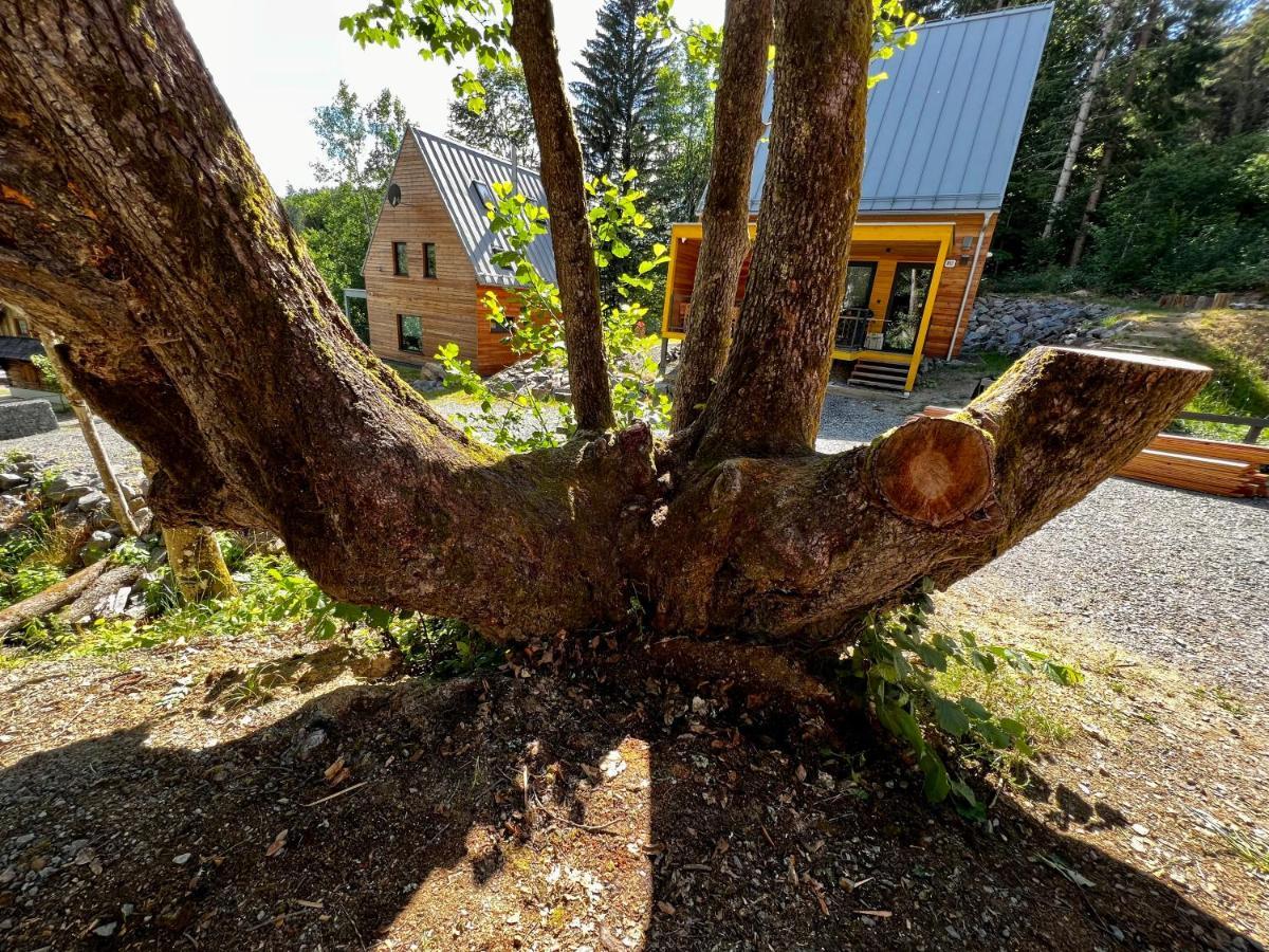 Chaty Tri Vydry Tale Exteriör bild